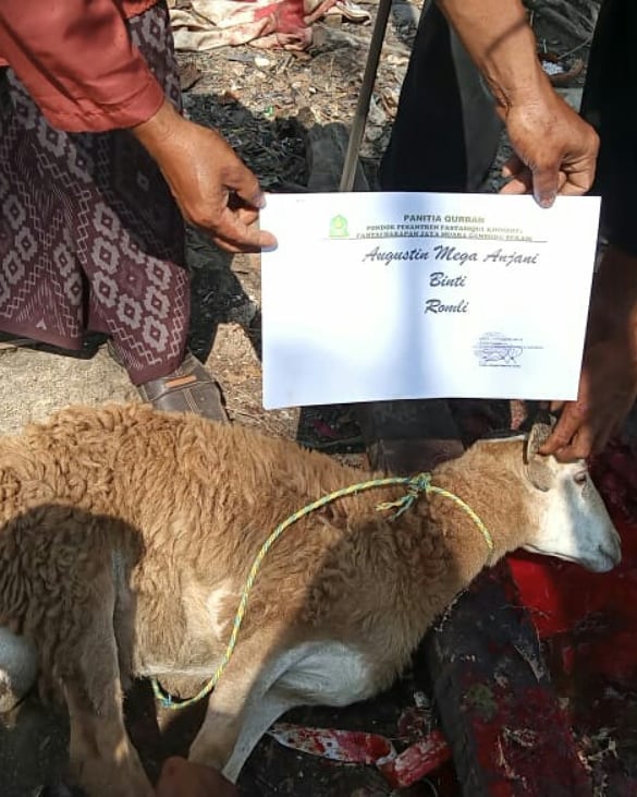 Pemotongan Hewan Qurban di Panti Asuhan Ibnu Sina & Pesantren